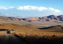 חוויות בנגב פעילויות בנגב וטיולים בדרום לחופשה מושלמת