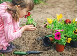 חודש 'שלישי ילדותי' בחדרה: שלל מופעים, סדנאות, הצגות, אירועים,פעילויות והפניננג לכל המשפחה צילום: יחצ